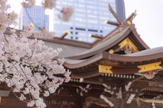 332 Best 新宿中央公園 Images Stock Photos Vectors Adobe Stock