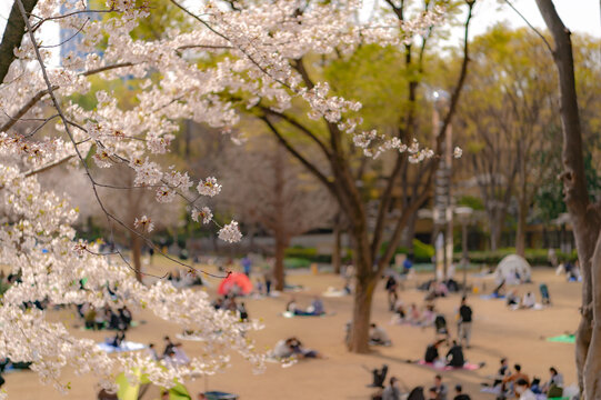 332 Best 新宿中央公園 Images Stock Photos Vectors Adobe Stock
