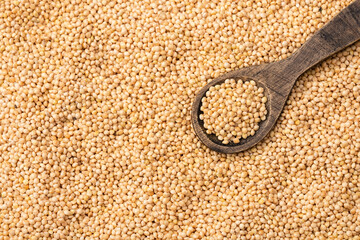 Healthy millet seeds in wooden spoon - Healthy food