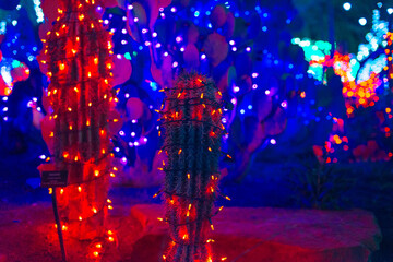 Botanical Cactus Garden las vegas. - dec, 2019 Colorful light display of cactus