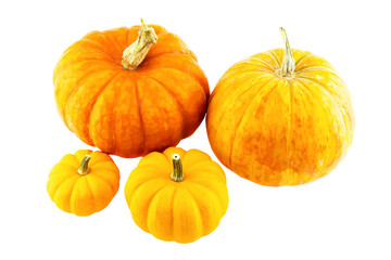 group of pumpkins orange big and small on isolated background symbol of autumn