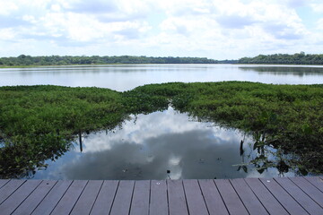 Pequena doca no lago do Parque Ecológico do Utinga, Belém do Pará, Brasil!
