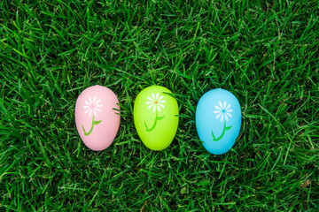 easter eggs in grass