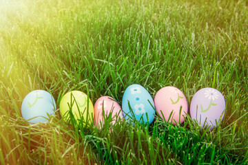 easter eggs in grass