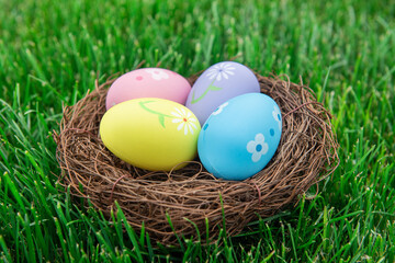 Obraz premium easter eggs in a nest on the grass