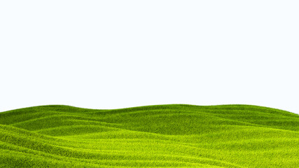 green field isolated against a white background