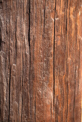 textura de madera con nudos  fondo de pantalla