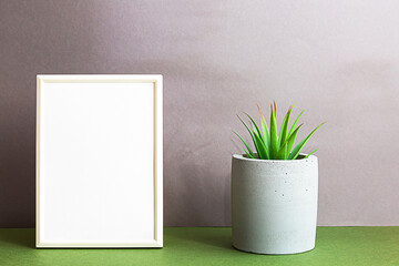 White frame poster mockup in minimalistic interior, succulent houseplant in concrete pot. Composition in scandi interior, gray-green colors.