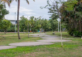 figueiras park in rodrigo de freitas lagoon in Rio de Janeiro.