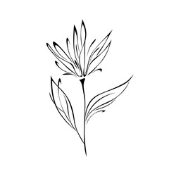 ornament 1647. one unique stylized flower on a stalk with two leaves in black lines on a white background