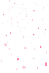 Fototapeta na wymiar 桜の花びら吹雪の背景　縦版