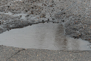 Spring Potholes and Puddles