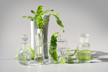 Natural Green laboratory. Abstract floral arrangement on light purple background. Exotic green leaves in transparent glass flasks, vials, Petri dishes. Reflections, floral elements distorted in water.