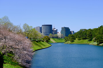 【東京】千鳥ヶ淵公園の桜（春）