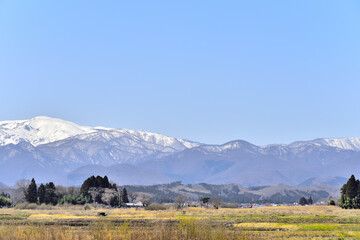 宮城の田園、春を待つ里山から雪の蔵王を望む