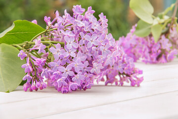 Closeup of blooming lilac branch on white rustic wooden surface. Space for product or text on foreground. Selective focus. Purple flowers wallpaper
