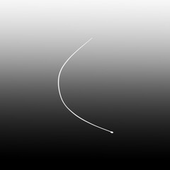 白髪一本（抜け毛）