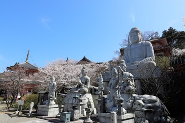 Obraz premium 奈良県 壷阪寺の桜大仏