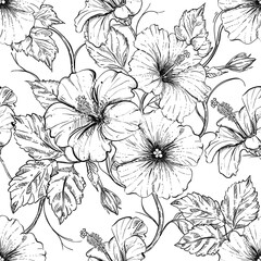 Hand drawn seamless pattern black and white of blossom hibiscus flower, plant, leaf. Vector illustration. Elements in graphic style label, sticker, menu, package. © alexandrakuz