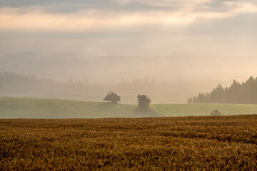夏の美瑛町美馬牛の農道の風景
