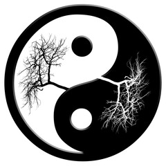 yin yang symbole, arbre