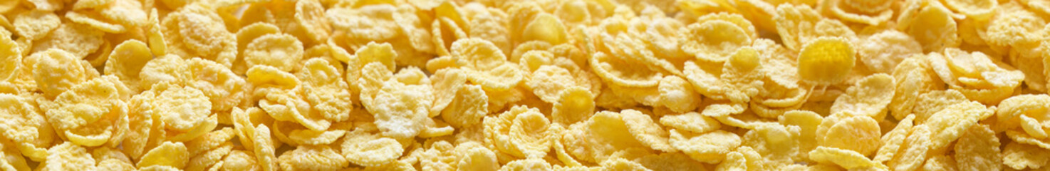Crispy cornflakes top view. Banner design.