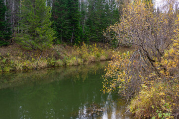 Autumn banks of the taiga river Yaya