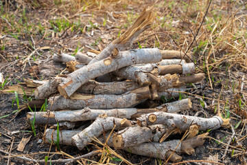 A pile of stacked firewood, prepared for heating the house,  Gathering fire wood for winter or bonfire.