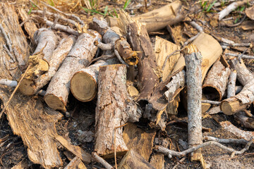 A pile of stacked firewood, prepared for heating the house,  Gathering fire wood for winter or bonfire.