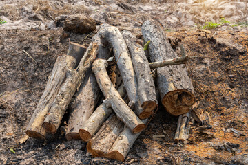 A pile of stacked firewood, prepared for heating the house,  Gathering fire wood for winter or bonfire.