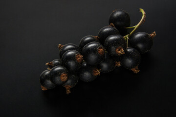 black currant berries