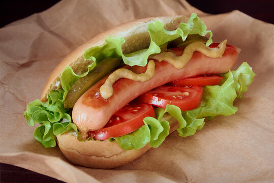 person holding a sandwich