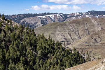 canyon with mountains and trees in the background