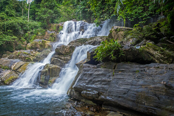 Fototapeta premium waterfall and rainforest