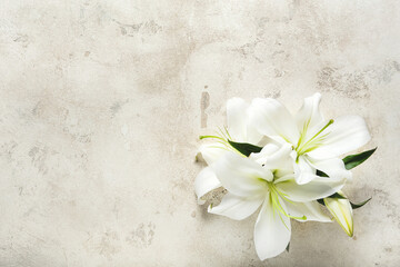 Obraz na płótnie Canvas Beautiful lilies on light background