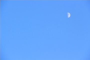 moon in the sky