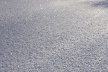 Freshly fallen snow, bright sunny day, Siberia.