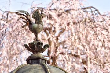 大石神社の鳳凰