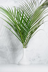 Wellness modern lifestyle - white interior with green palm leaves bouquet in sunshine with shadow on marble tile wall, wood table,  vertical.