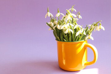 A bouquet of snowdrops in a yellow cup on a pastel background in the rays of the spring sun, close-up