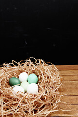 Fototapeta premium painted eggs in the nest decoration holiday Easter dark background