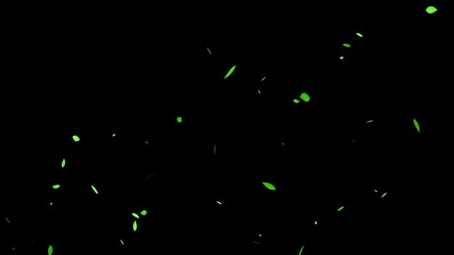 緑葉　葉っぱ　新緑　浮かび上がる　パーティクル　モーショングラフィックス
