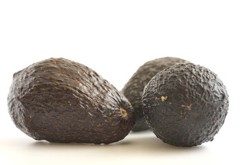 The avocado known as the 