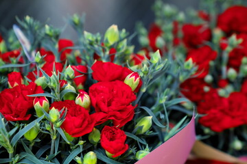 赤いカーネーションを送る日