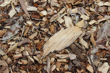 Wood chippings background