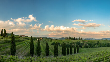 Fototapeta na wymiar Spring stormy sunset in the vineyards of Collio Friulano, Friuli-Venezia Giulia, Italy