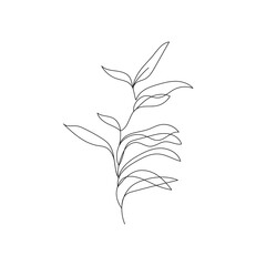 Leaves Vector Hand Drawn Line Art Drawing. Minimalist Trendy Contemporary Floral Design Perfect for Wall Art, Prints, Social Media, Posters, Invitations, Branding Design.