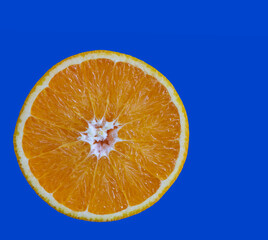 orange slice lies on a colored background