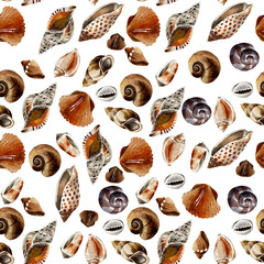 seamless watercolor pattern with seashells in brown colors on white background