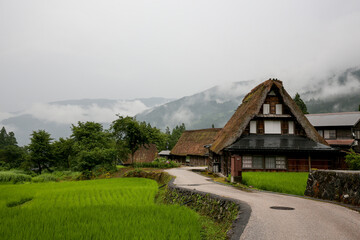 Fototapeta na wymiar Rice paddy at Japanese village